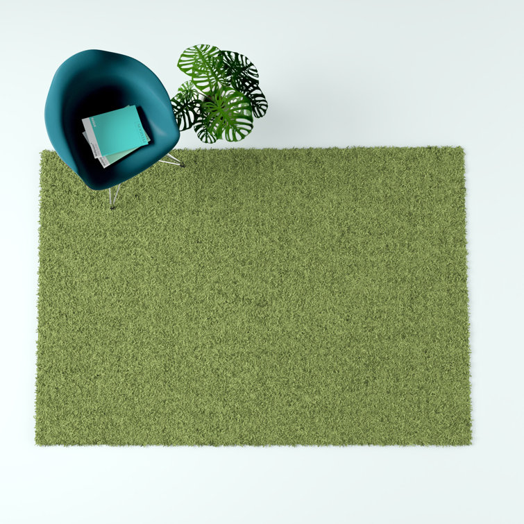 Hashtag Home Chuck Green Rug & Reviews Wayfair.co.uk